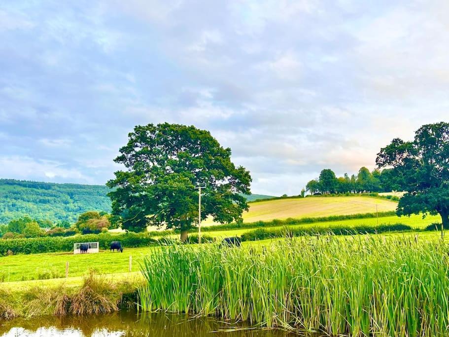 Fox Acre - Amazing Views Holiday home Usk