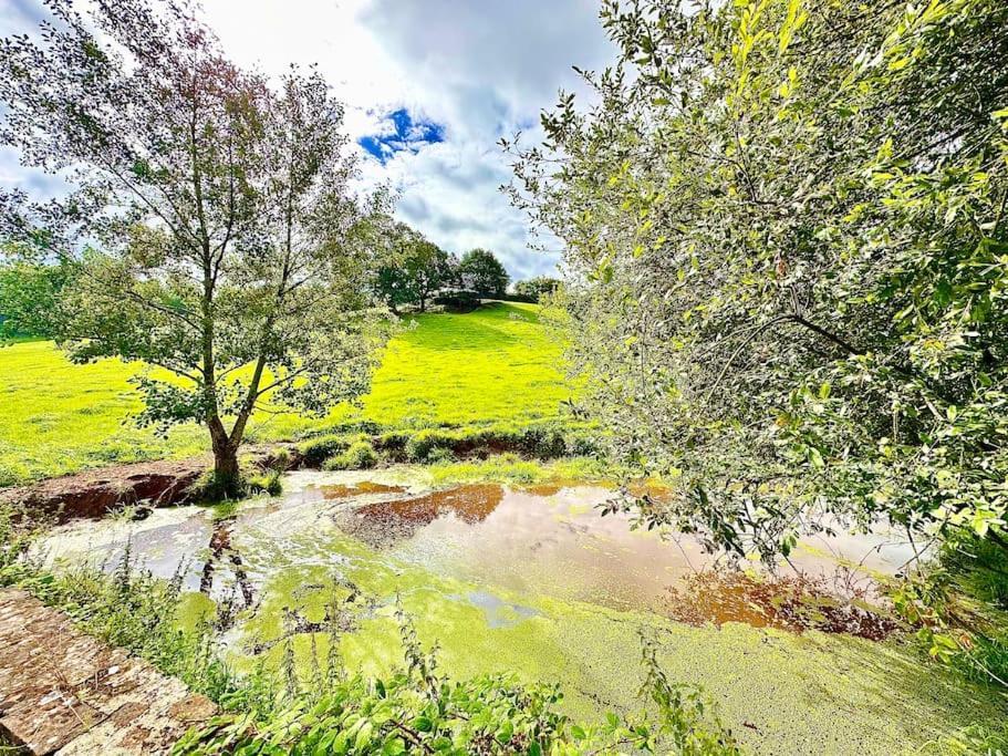 Fox Acre - Amazing Views Holiday home