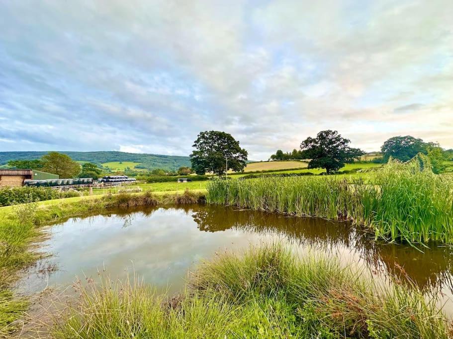 Holiday home Fox Acre - Amazing Views