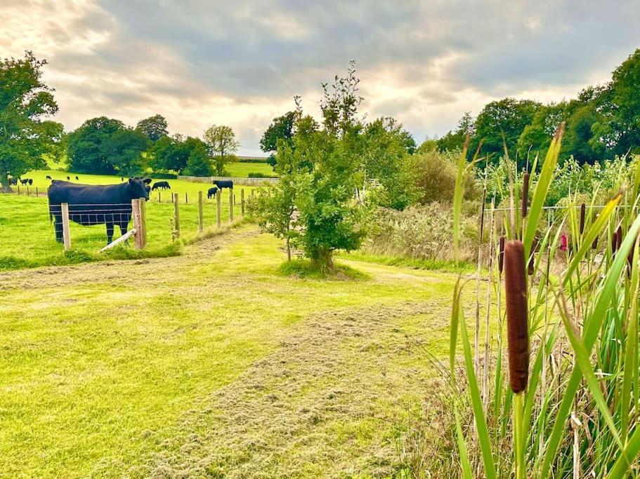 Fox Acre - Amazing Views Holiday home Usk